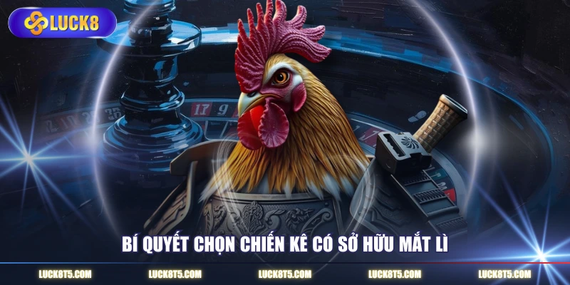 Bí quyết chọn chiến kê có sở hữu mắt lì