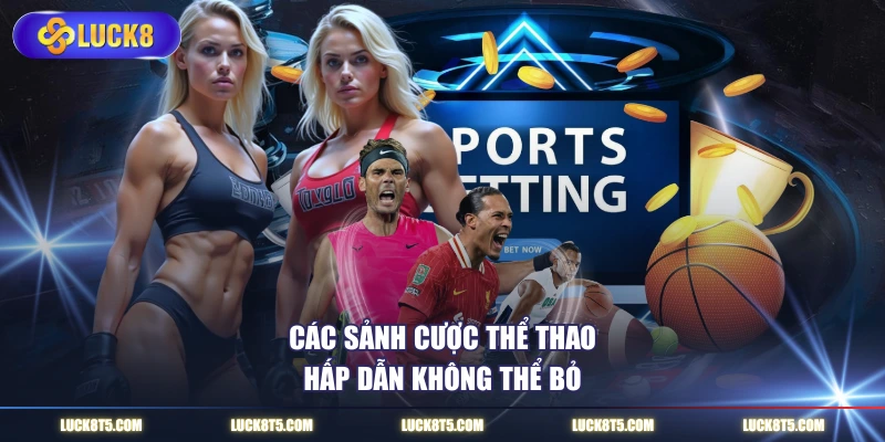 Các sảnh cược thể thao hấp dẫn không thể bỏ