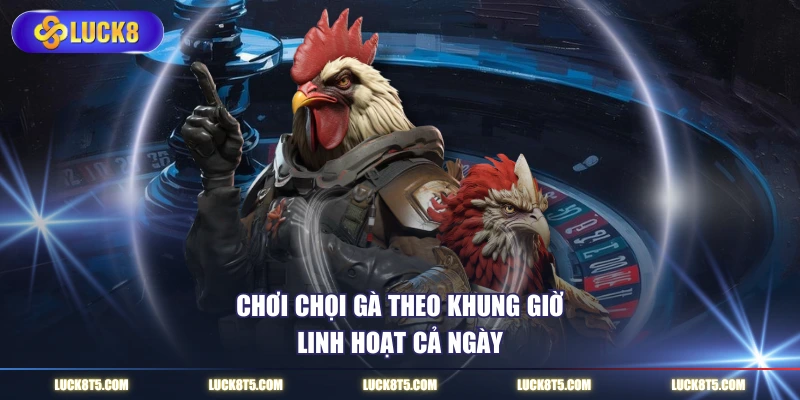 Chơi chọi gà theo khung giờ linh hoạt cả ngày