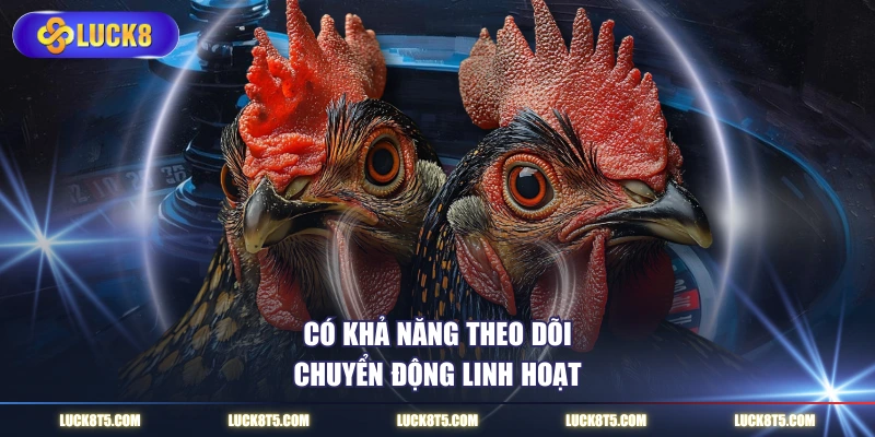 Có khả năng theo dõi chuyển động linh hoạt