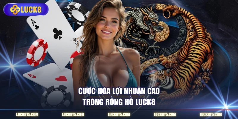 Cược Hòa lợi nhuận cao trong rồng hổ LUCK8