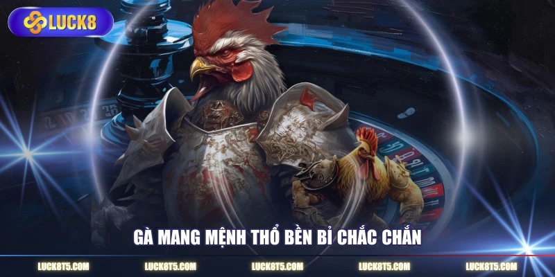 Gà mang mệnh Thổ bền bỉ chắc chắn