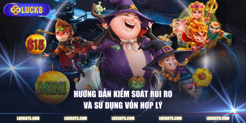 Hướng dẫn kiểm soát rủi ro và sử dụng vốn hợp lý