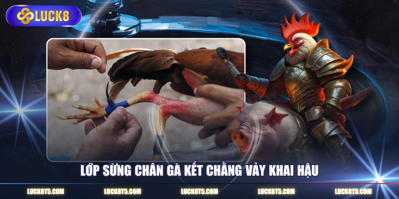 Lớp sừng chân gà kết chằng vảy khai hậu