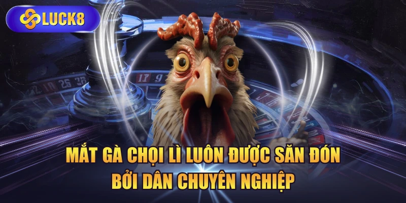 Mắt Gà Chọi Lì