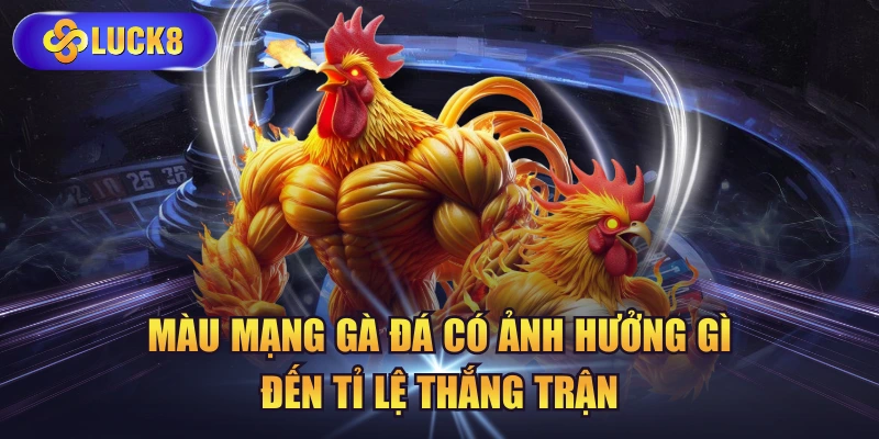 Màu Mạng Gà Đá