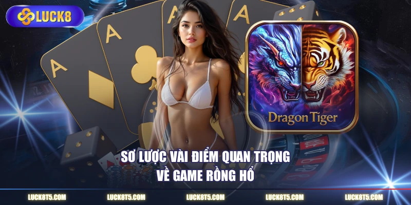 Sơ lược vài điểm quan trọng về game rồng hổ