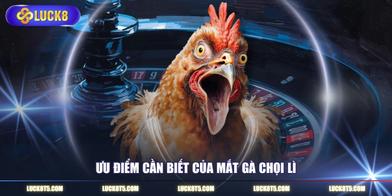 Ưu điểm cần biết của mắt gà chọi lì